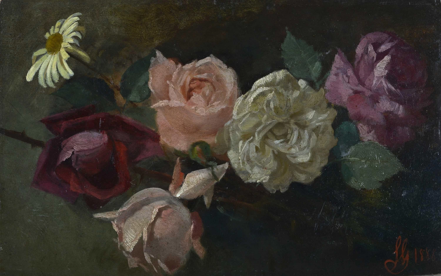Rose